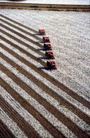 Cotton bales stacked outdoors