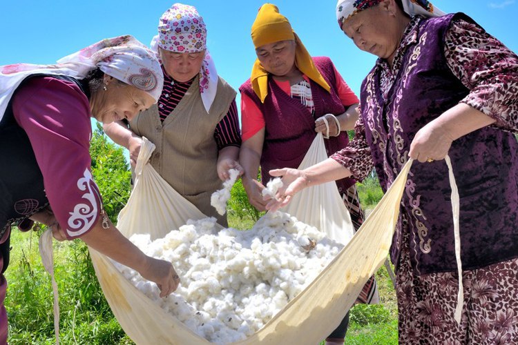 Cotton production and sourcing
