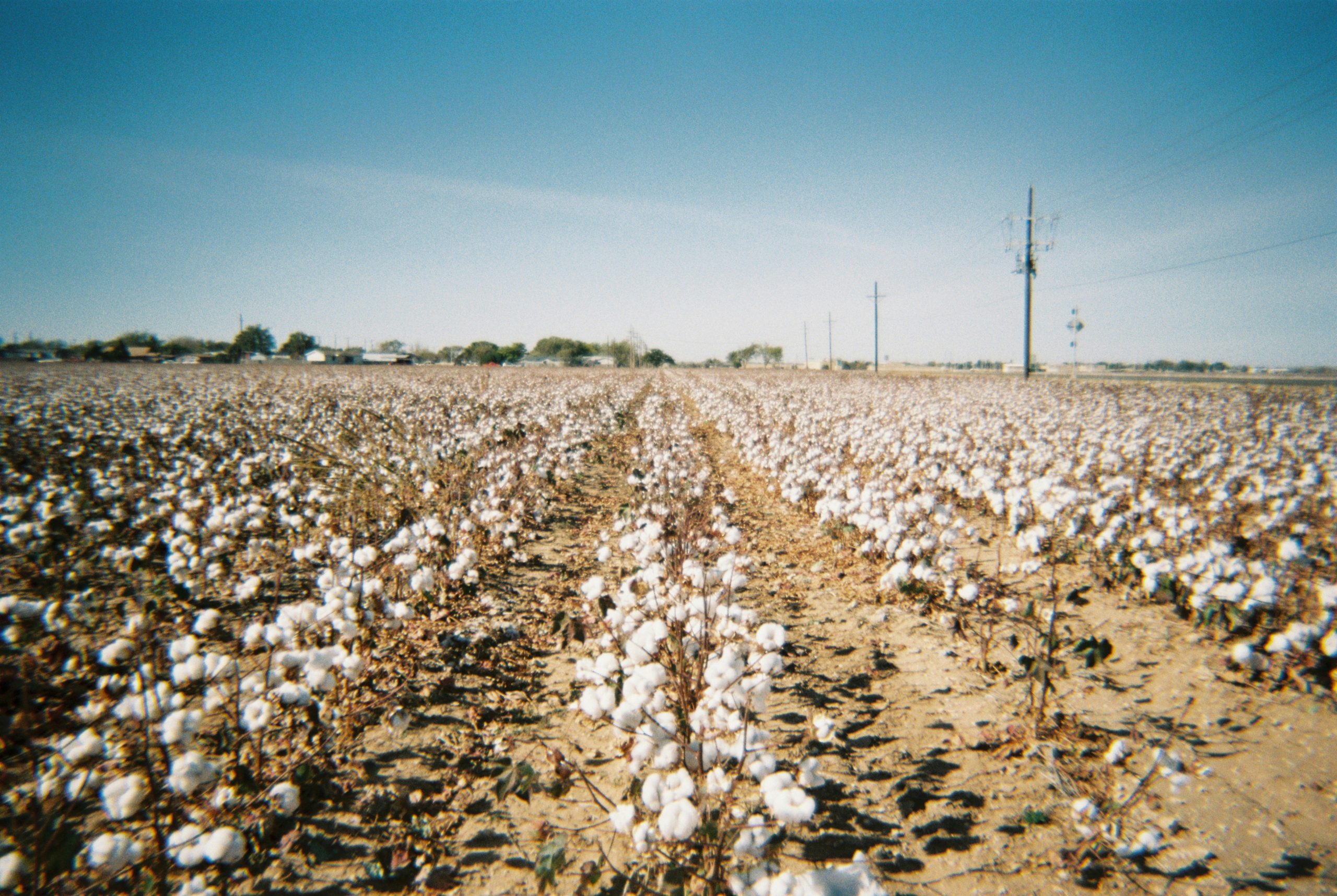 Cotton textile materials